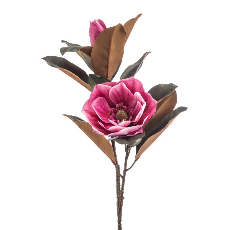 Magnolia spray beauty 85cm