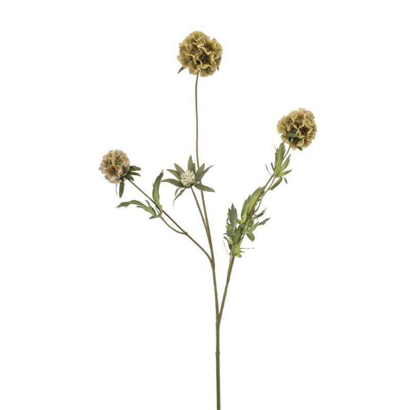 Scabiosa spray green 73cm