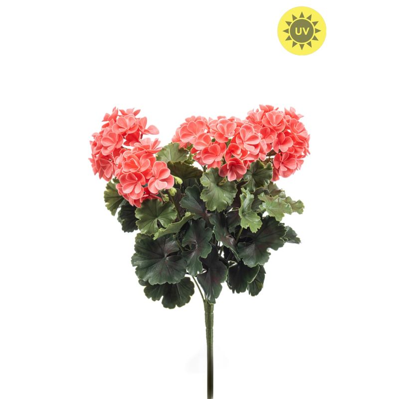 Geranium bush UV peach 41cm