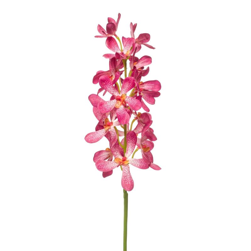 Vanda spray RT pink 80cm