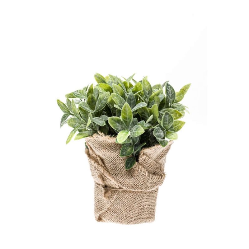 Mint bush in jute pot 19cm