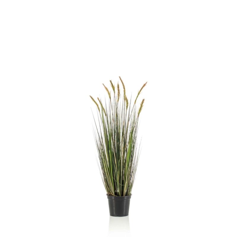 Grass foxtail 90cm