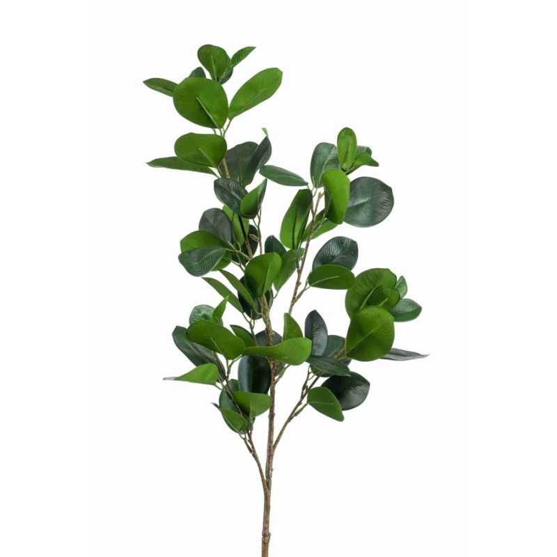 Ficus panda spray green 90cm