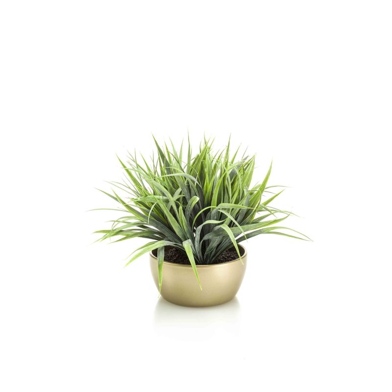 Grass bush green 30cm in pearlgold bowl