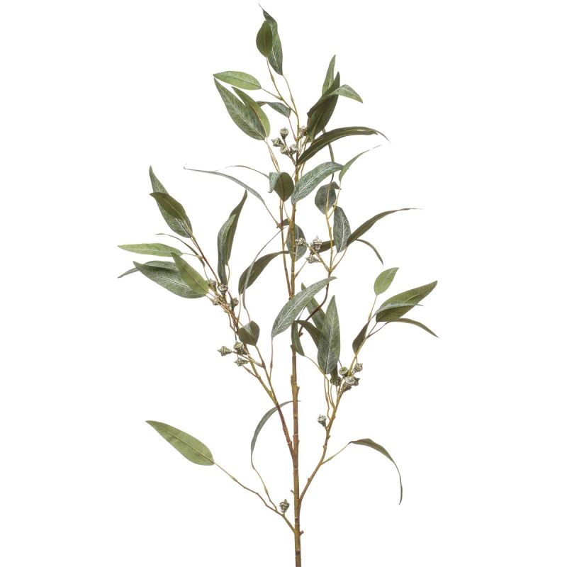 Eucalyptus spray w pods 115cm