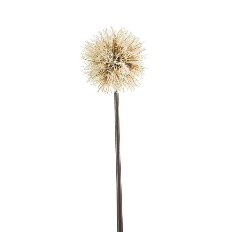 Dandelion spray cream 85cm