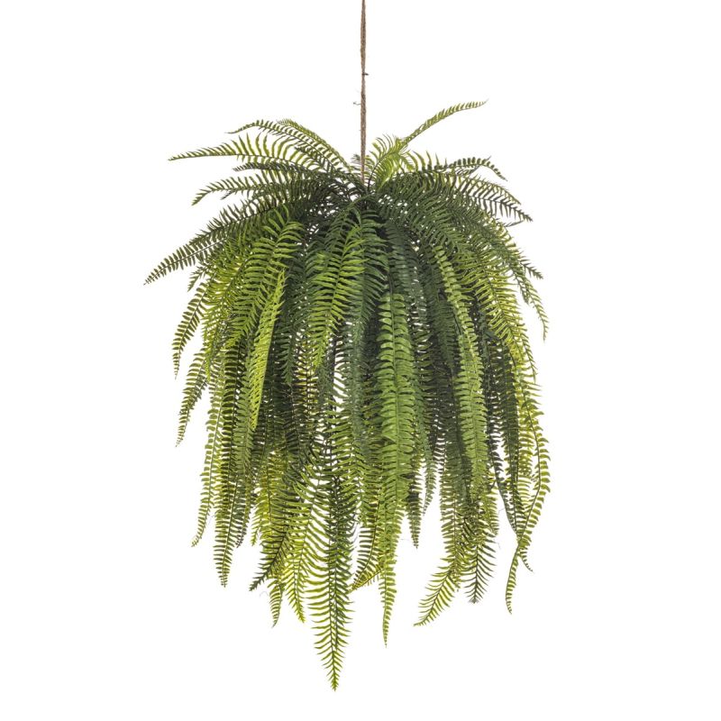 Nephrolepis hanging deco 140cm