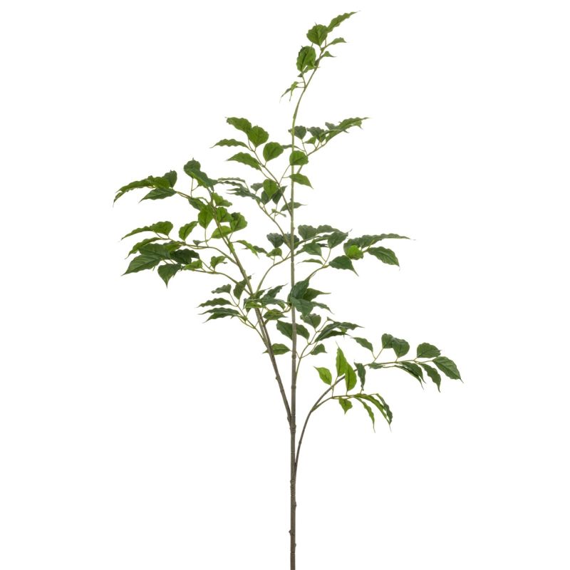 Sambucus spray green 105cm