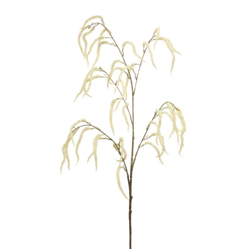 Amaranthus spray cream 100cm