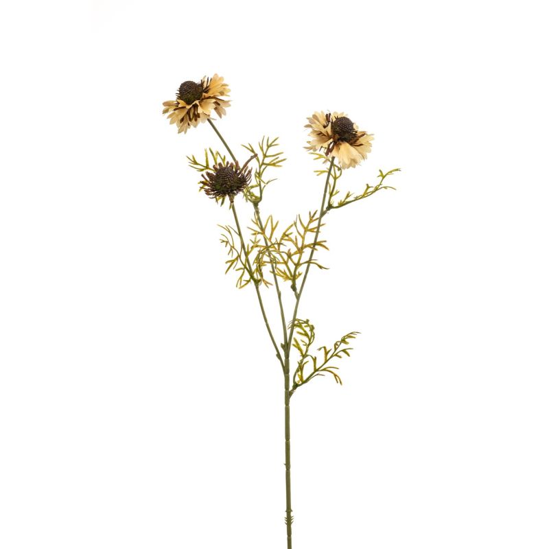 Scabiosa spray beige 68cm