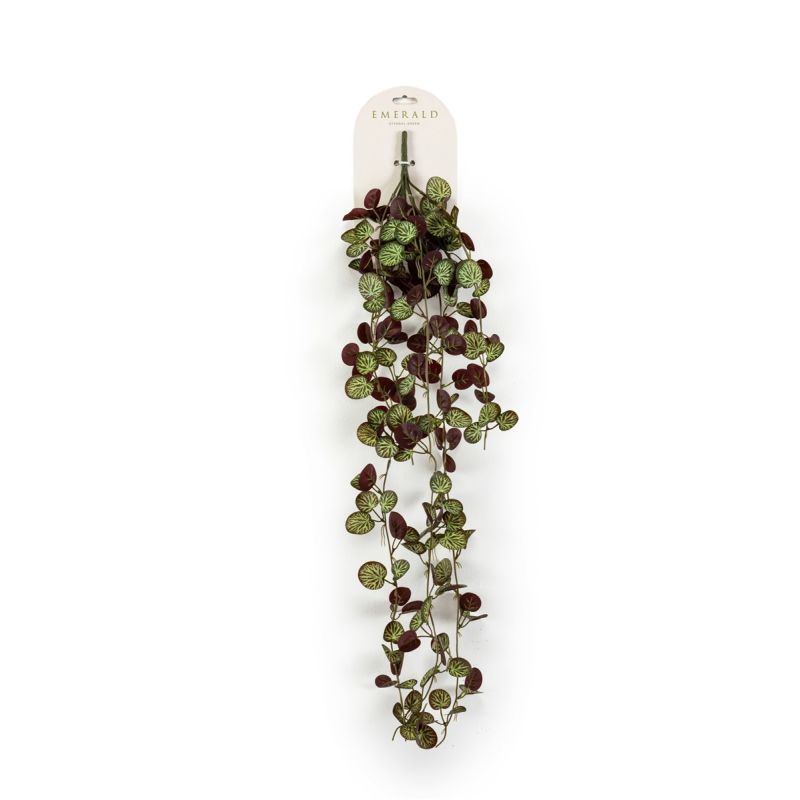 Saxifraga hanging bush green/burgundy 85cm