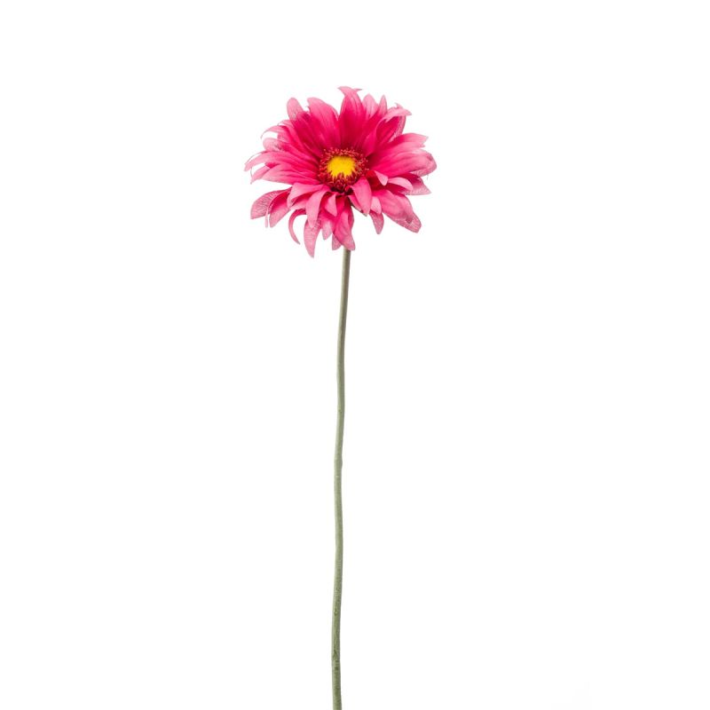 Gerbera mini spray fuchsia 50cm