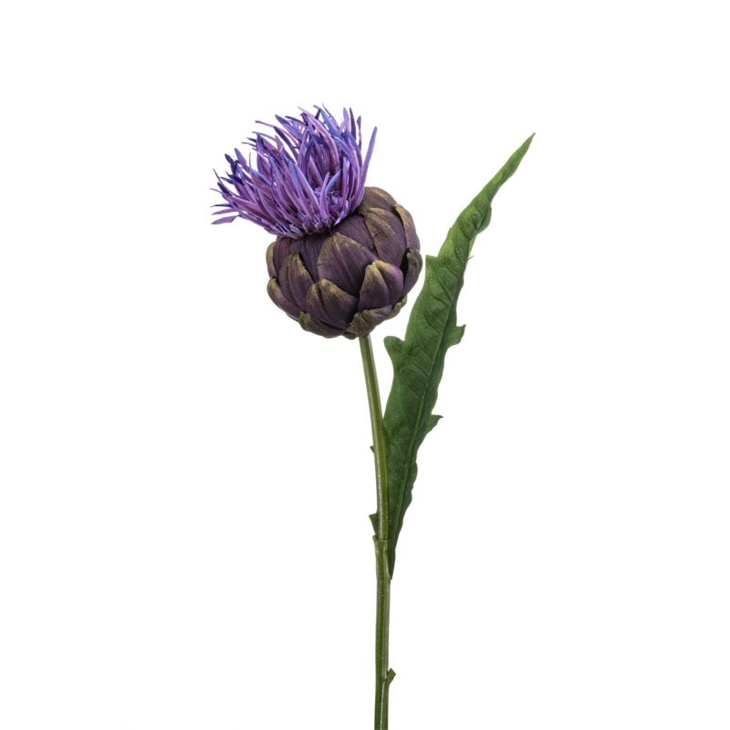 Artichoke w flower spray rt purple 60cm