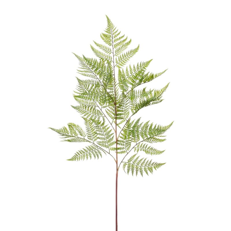 Fern pteridium spray 130cm