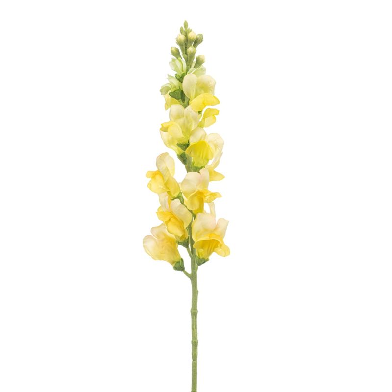 Antirrhinum spray yellow 78cm