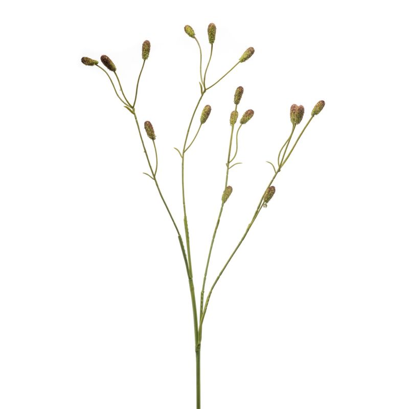 Sanguisorba spray green/brown 78cm