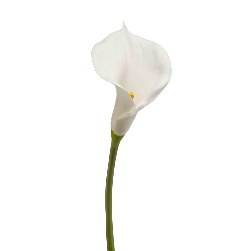 Calla lily stem white 70cm