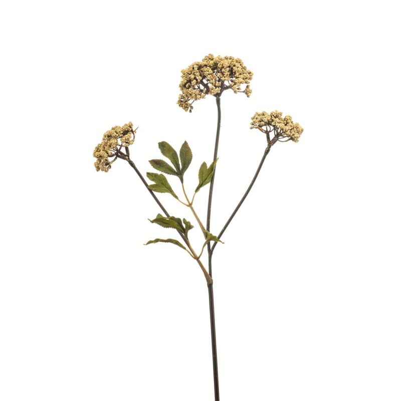 Achillea spray beige 70cm