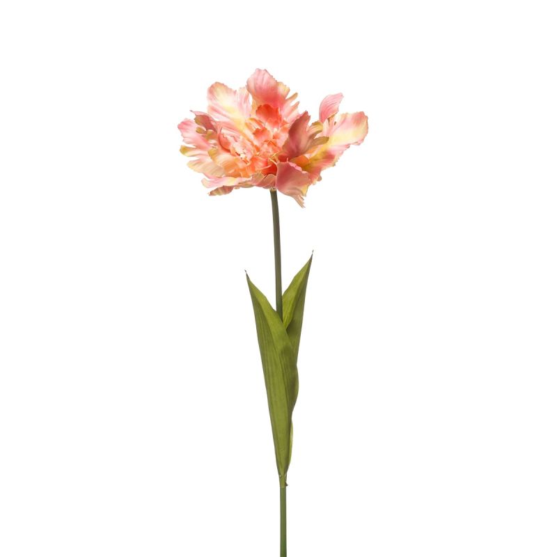 Tulip parrot spray peach 68cm