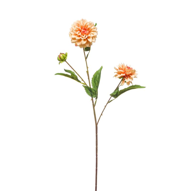 Dahlia mini spray peach 68cm