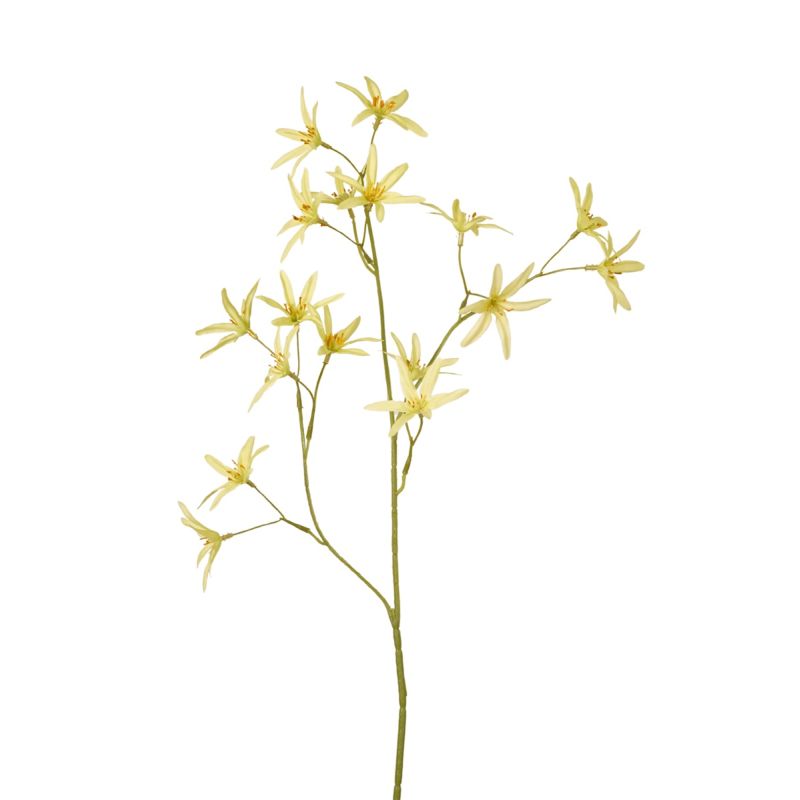 Tweedia spray green 70cm