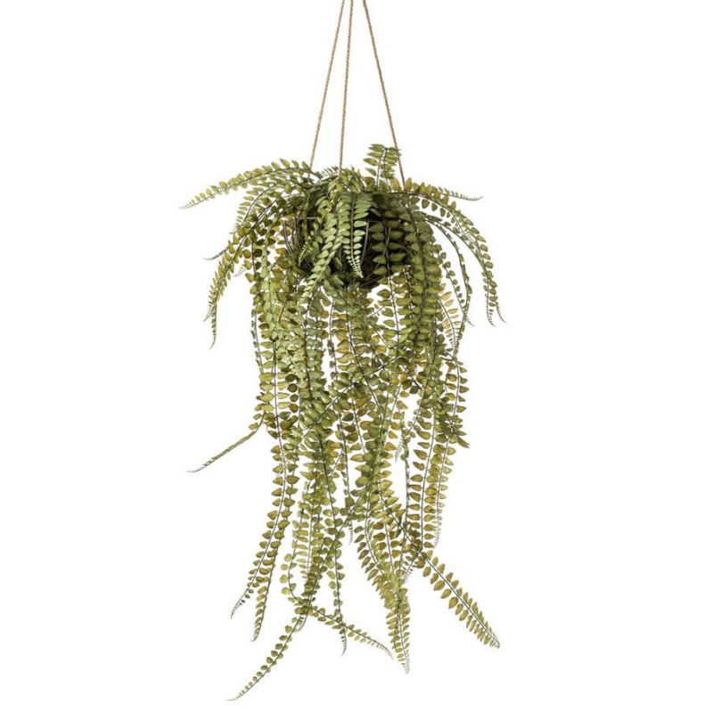 Fern on iron stand round hanging 130cm