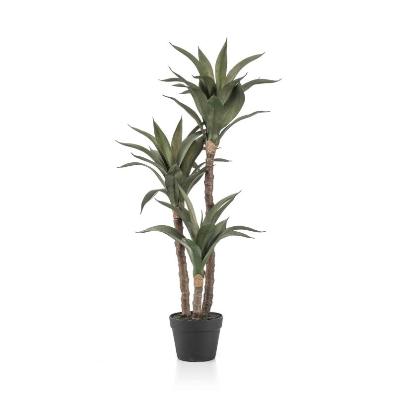 Agave plant x3 100cm