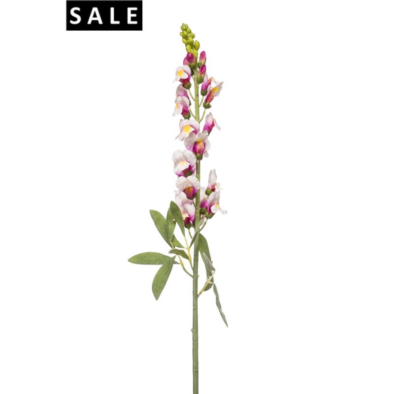 Antirrhinum spray cream/fuschia 78cm