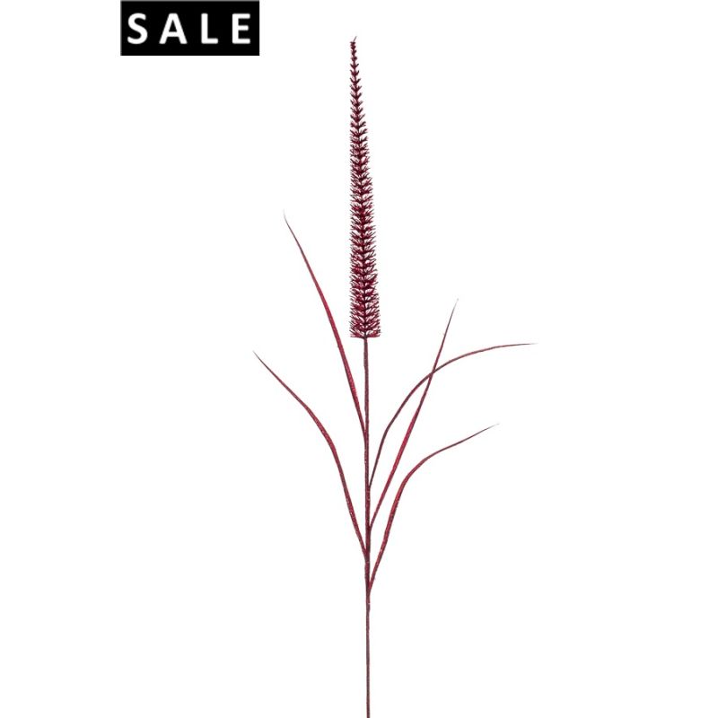 Pennisetum stem glitter burgundy 106cm