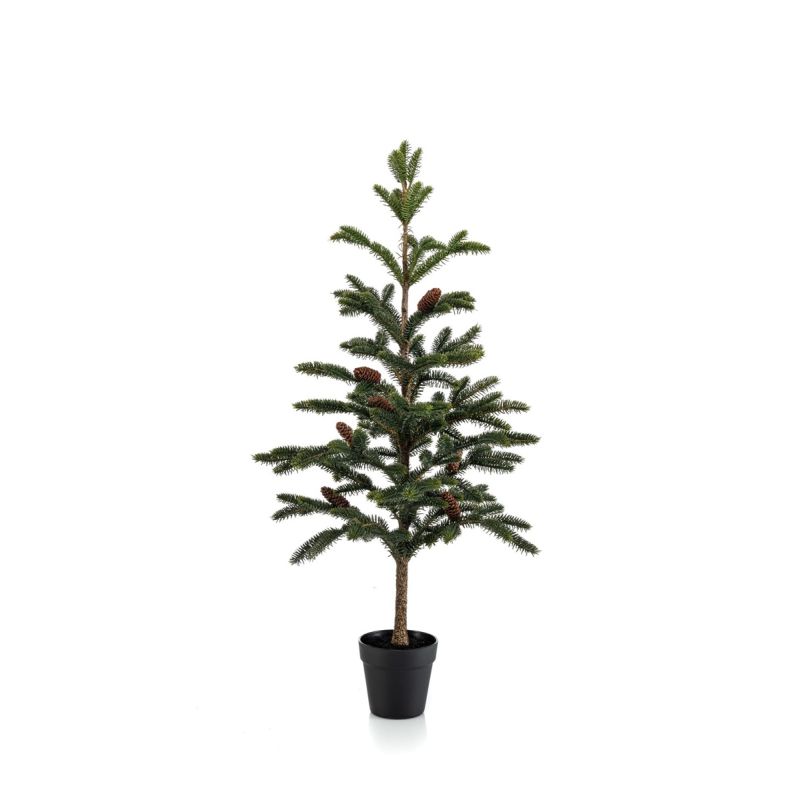 Pine w cones in pot 97cm