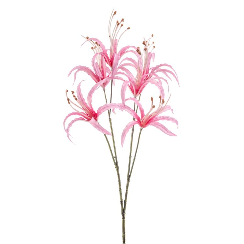 Nerine spray pink 55cm