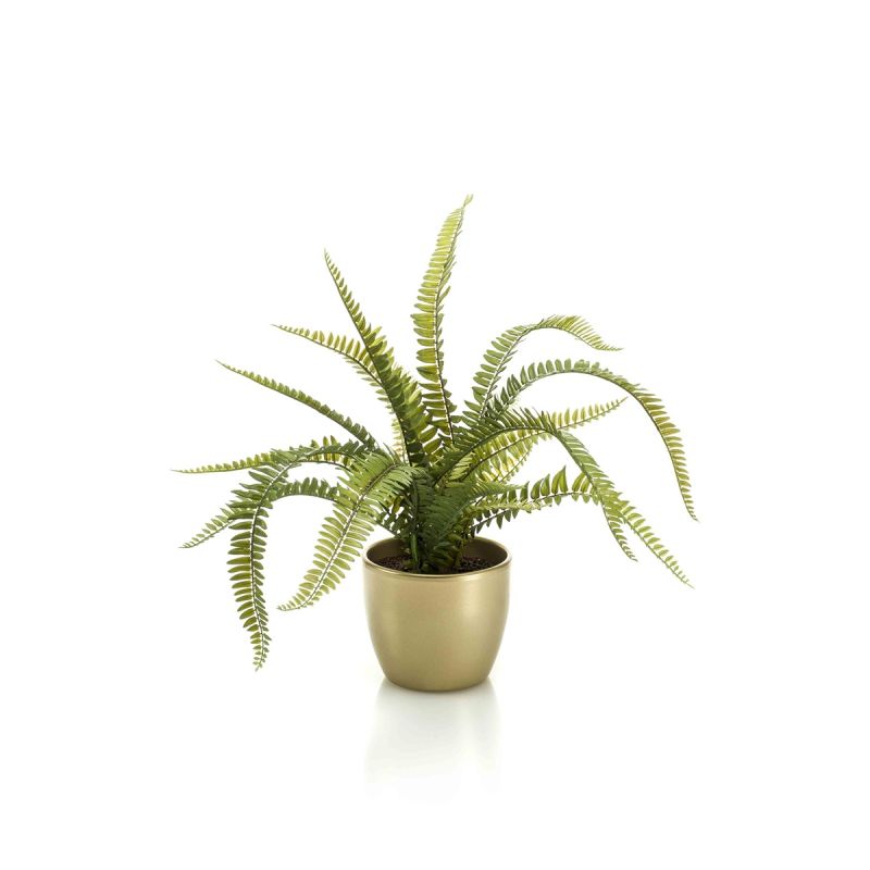 Fern bush green 50cm in pearlgold pot