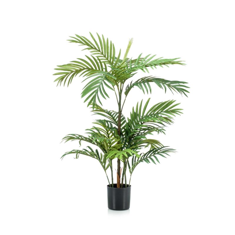 Palm phoenix 90cm