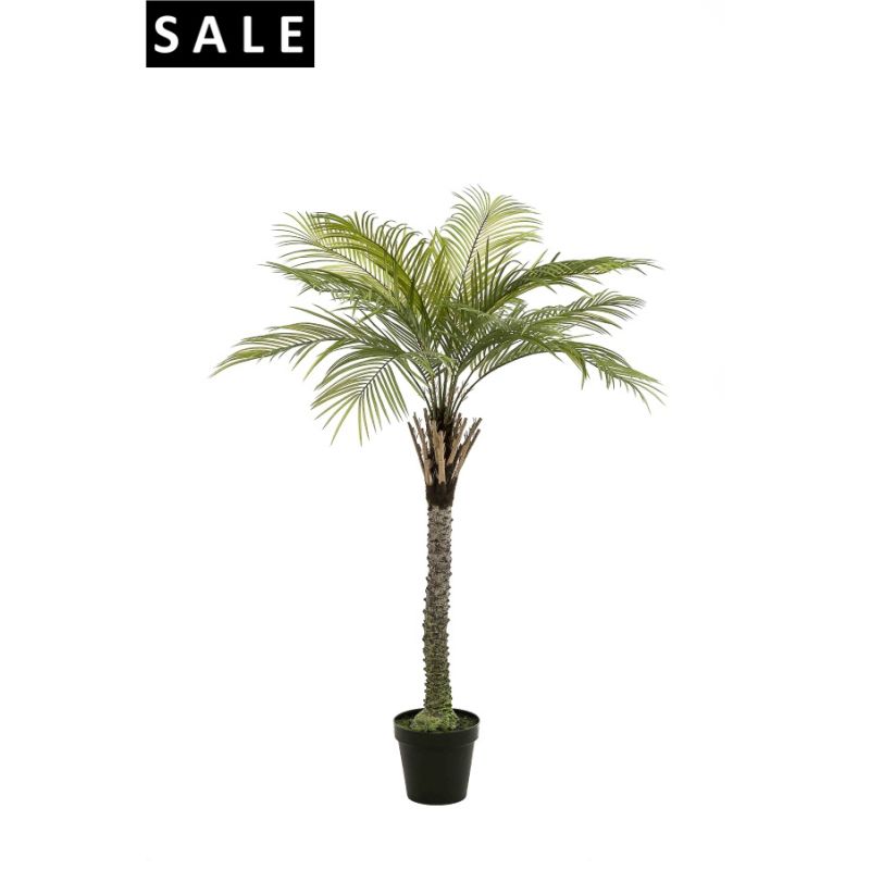 Phoenix palm deluxe 260cm (knock-down packing)
