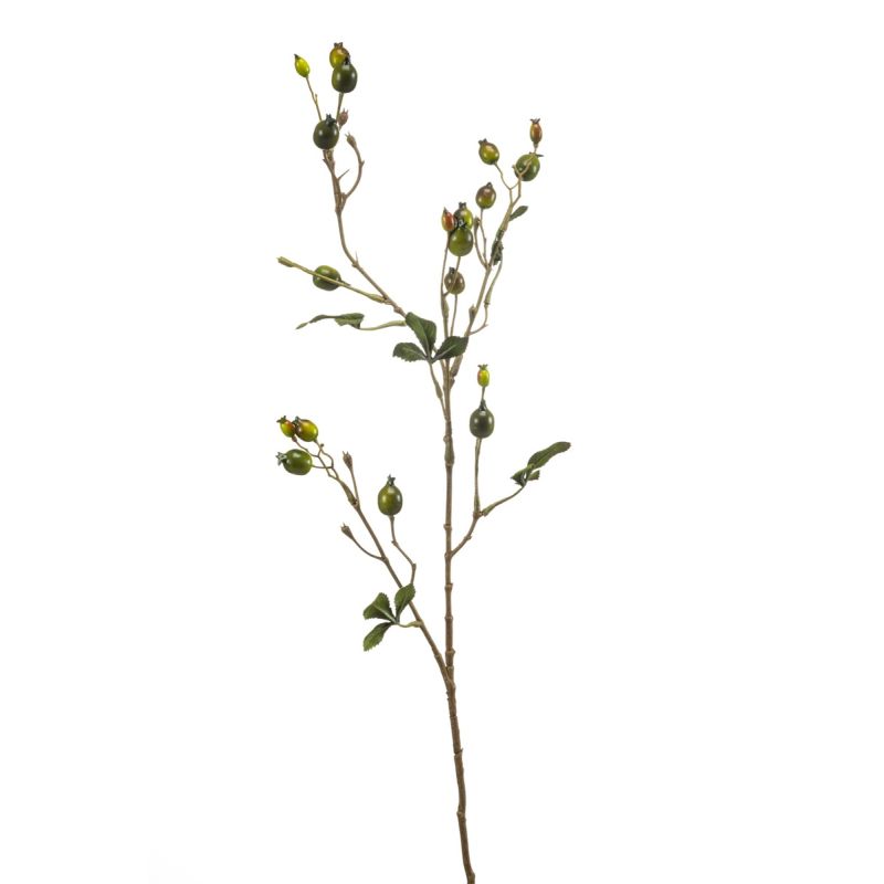 Rosehip spray green 80cm