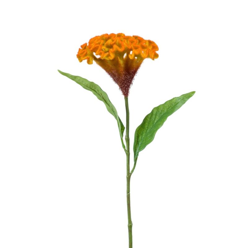 Celosia spray yellow/orange 62cm