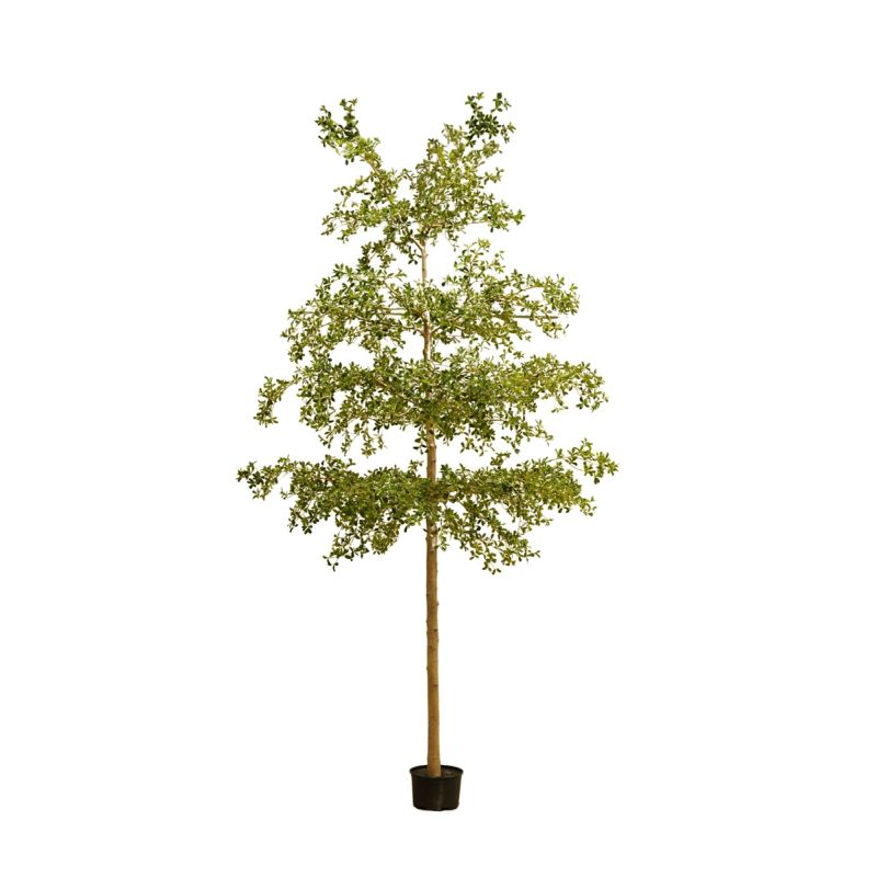 Bucida tree deluxe 390cm (knock down packing)