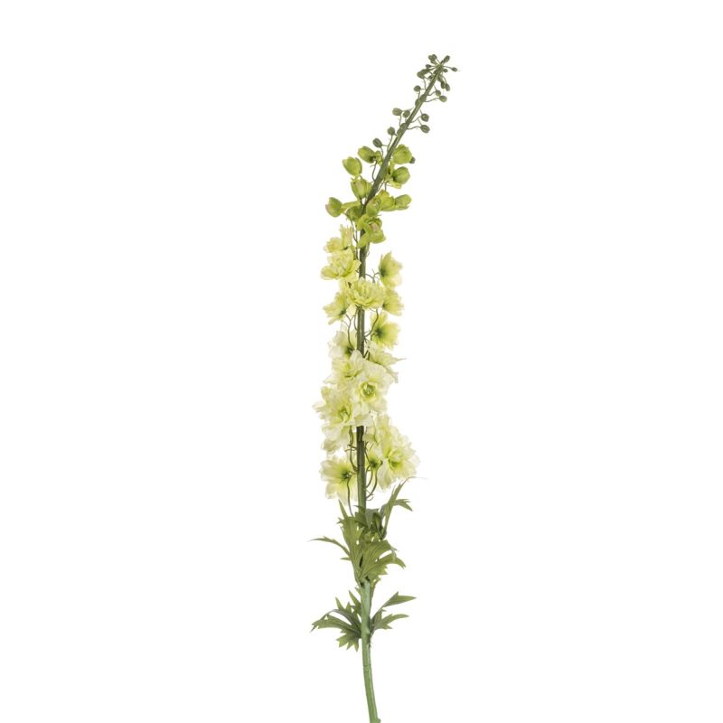 Delphinium spray XL lt green 130cm