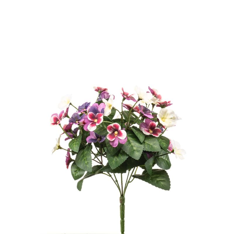 Pansy bush fuchsia/purple 30cm