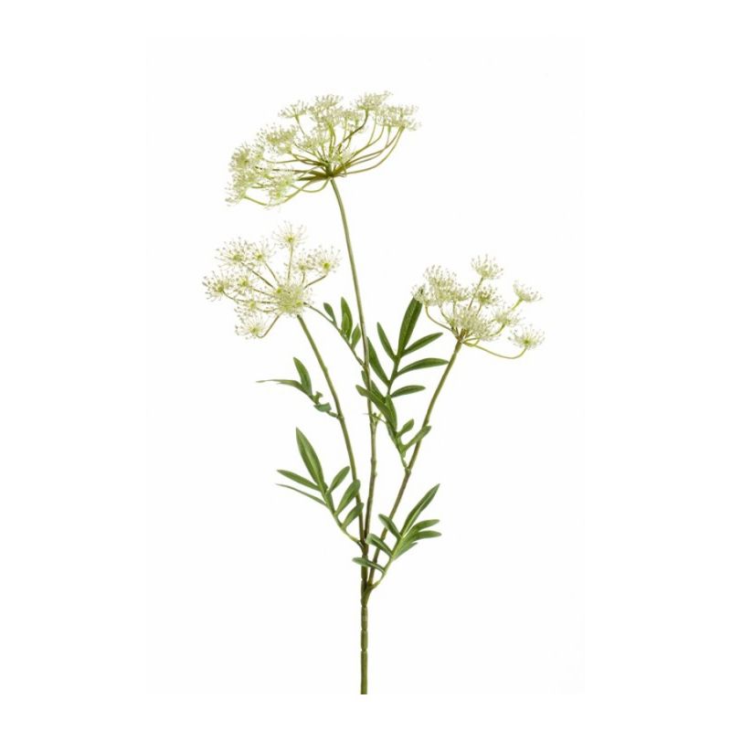 Dill spray white 80cm