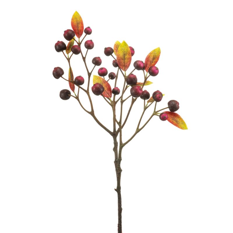 Crab apple spray purple 70cm