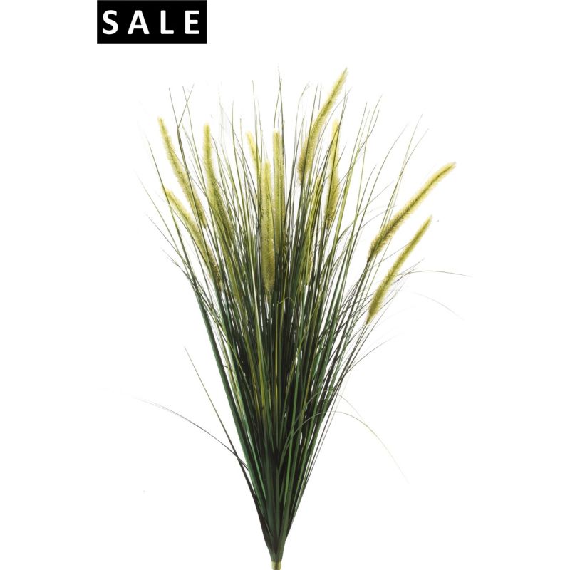 Foxtail grass bush 90cm