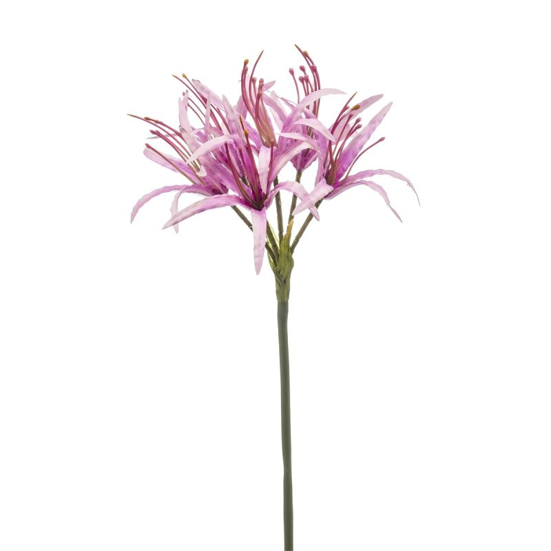 Nerine spray purple 72cm