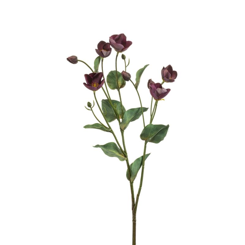 Helleborus spray purple 52cm