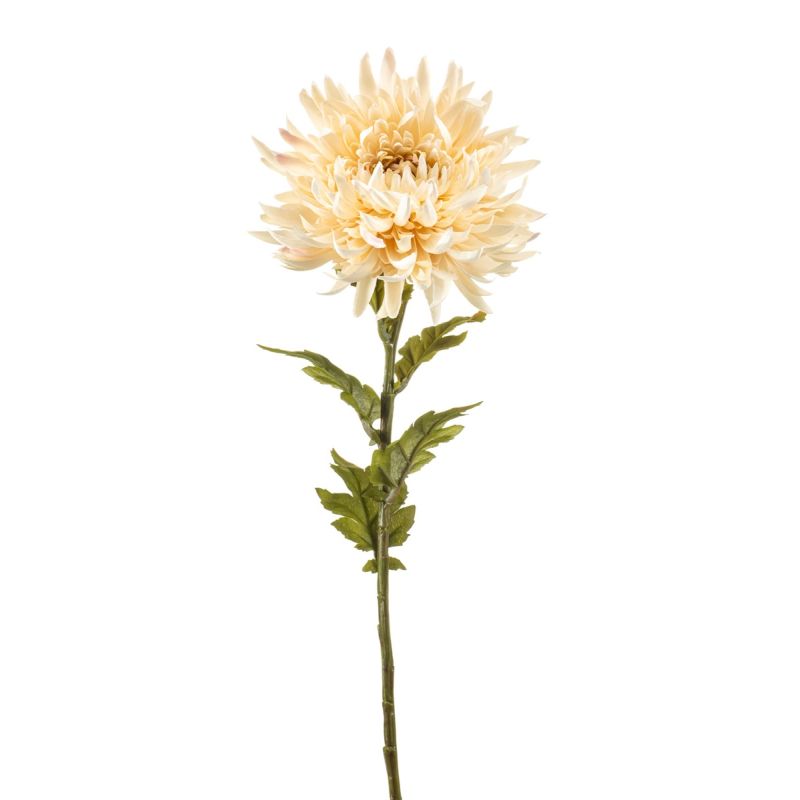 Chrysantum spray cream 63cm