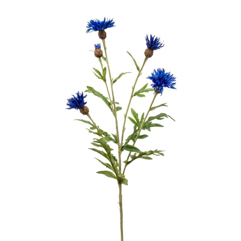 Centaurea spray blue 60cm