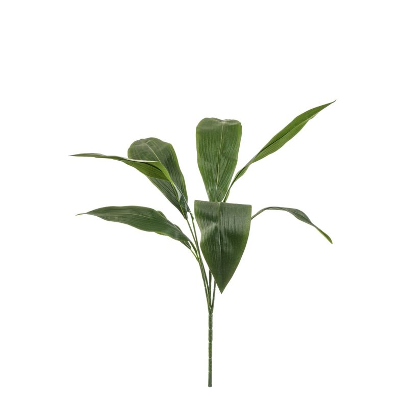 Aspidistra bush 78cm