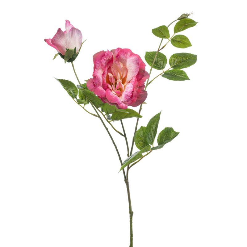 Rose liza spray pink 80cm