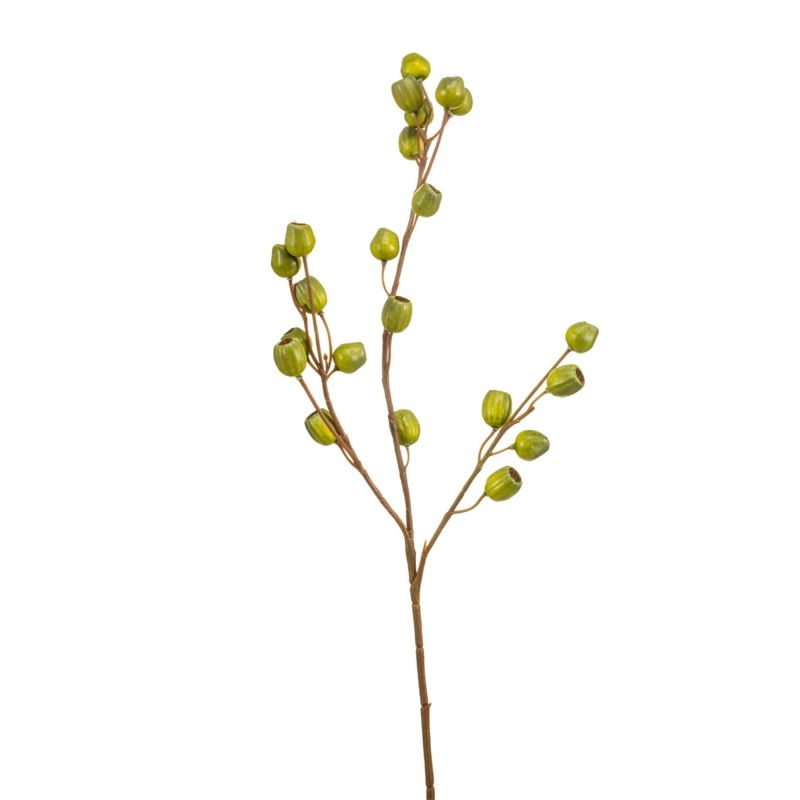 Eucalyptus pods spray 70cm