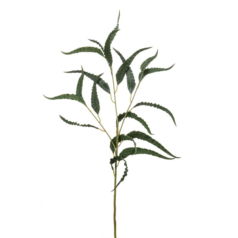 Eucalyptus curly spray green/grey 75cm